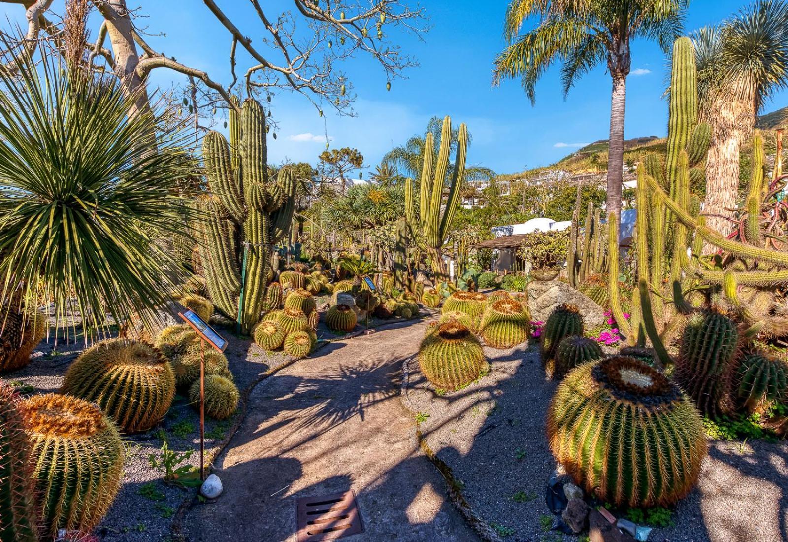 Forio di Ischia Villa Ravino Secret Retreat المظهر الخارجي الصورة