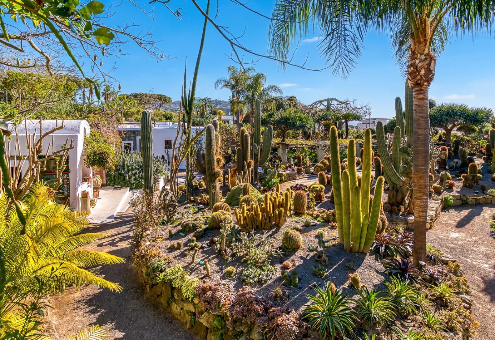 Forio di Ischia Villa Ravino Secret Retreat المظهر الخارجي الصورة
